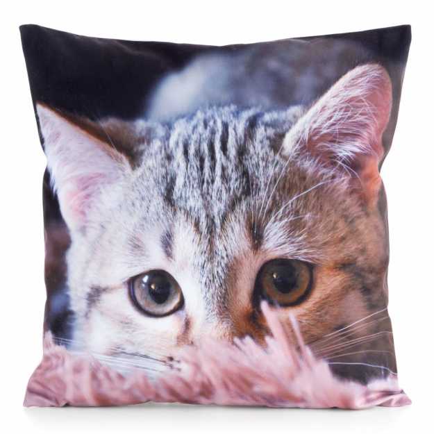 Obliečka na vankúš ANIMAL75 45x45 cm sivá/popolavá