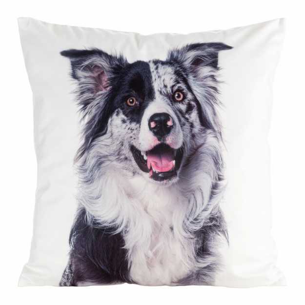 Obliečka na vankúš ANIMAL77 45x45 cm biela/čierna