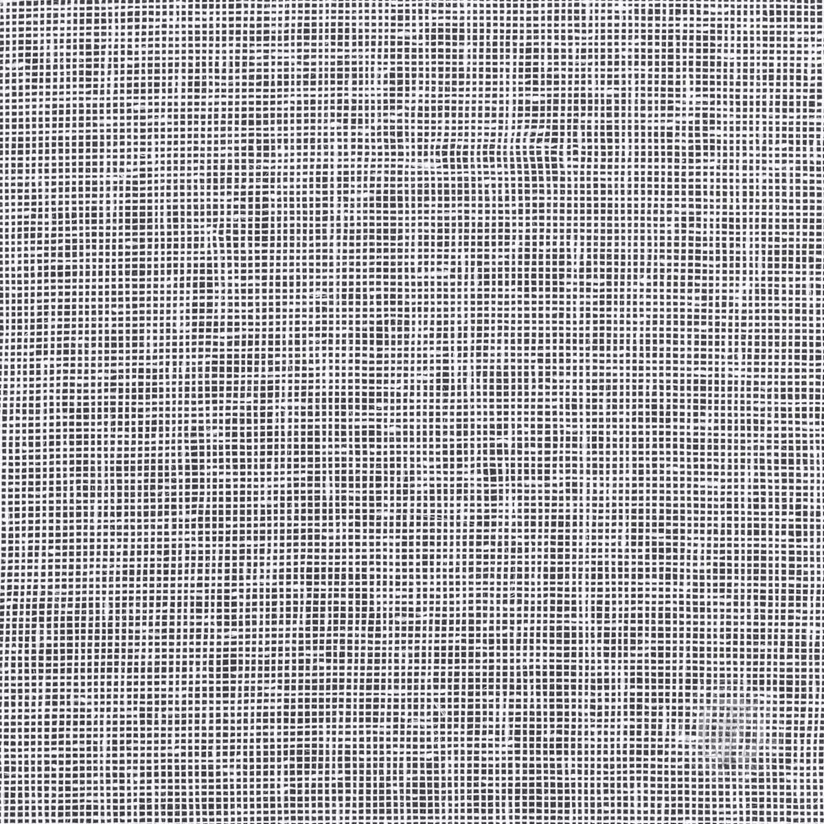 Záclona ELPIDIA na páske biela 350x250cm