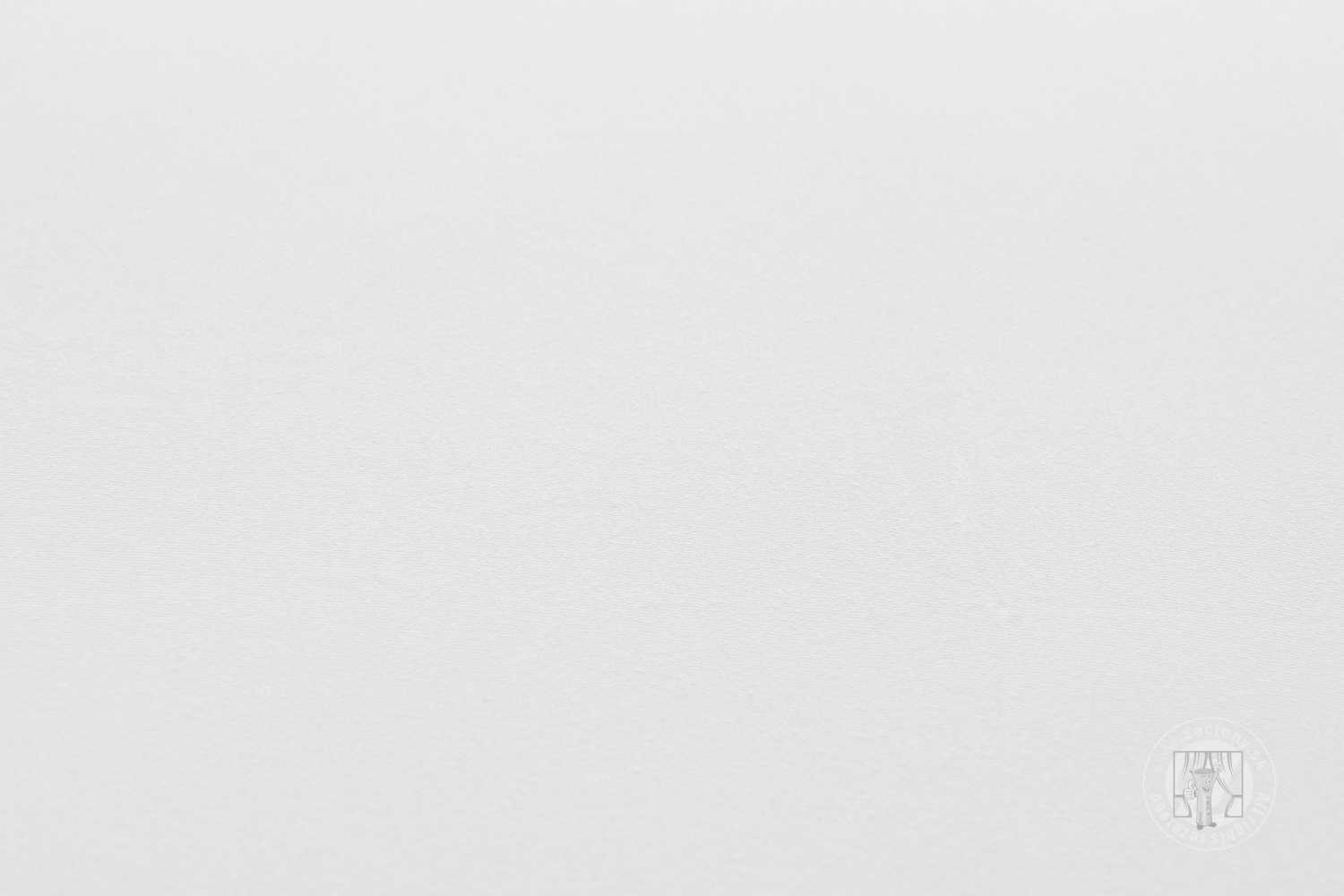 Napínacia plachta JERSEY 160x200 cm biela 1