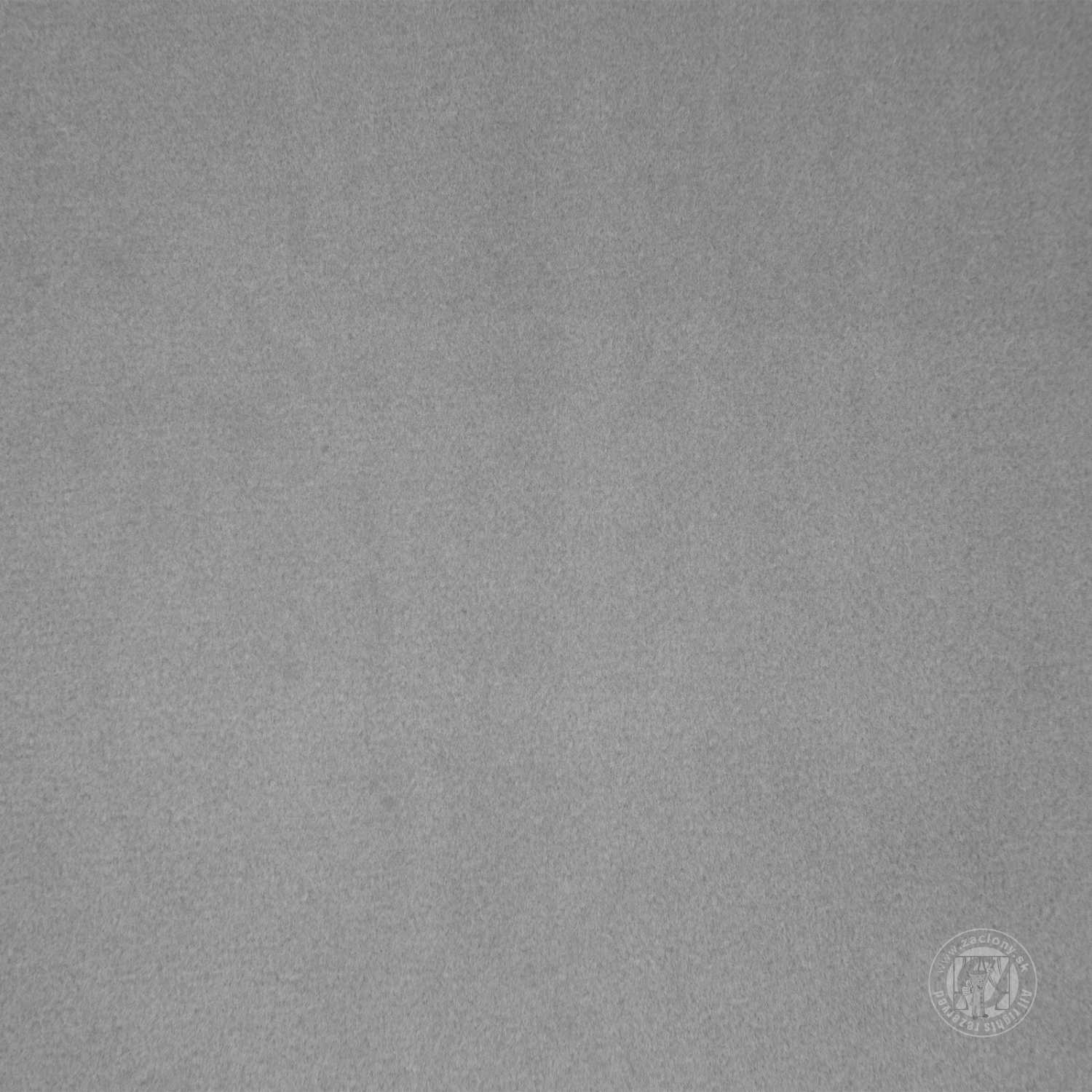 Záves CARMEN na krúžkoch s úchytkou 140x270 cm sivý