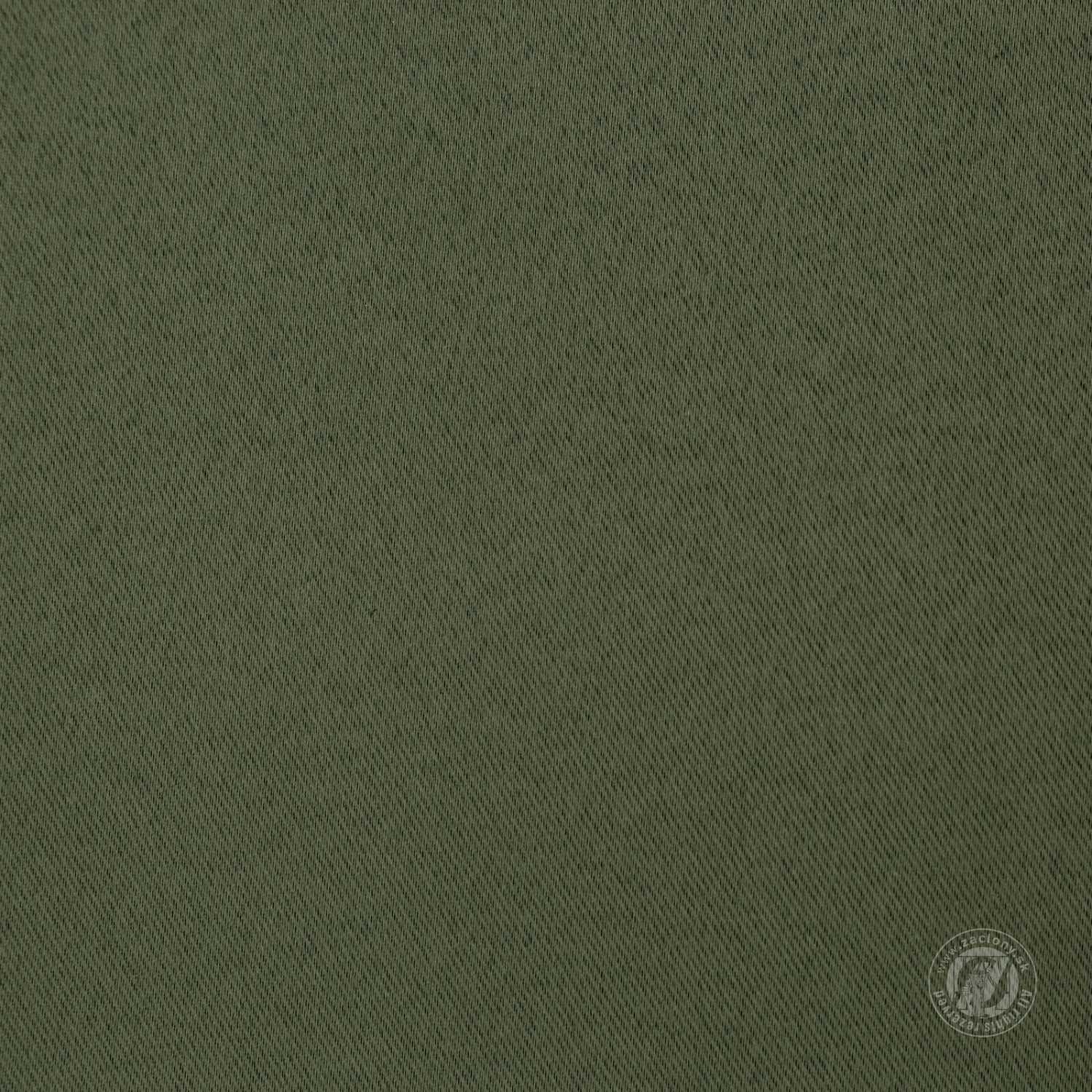 Záves NERISA na krúžkoch 140x250cm olivový