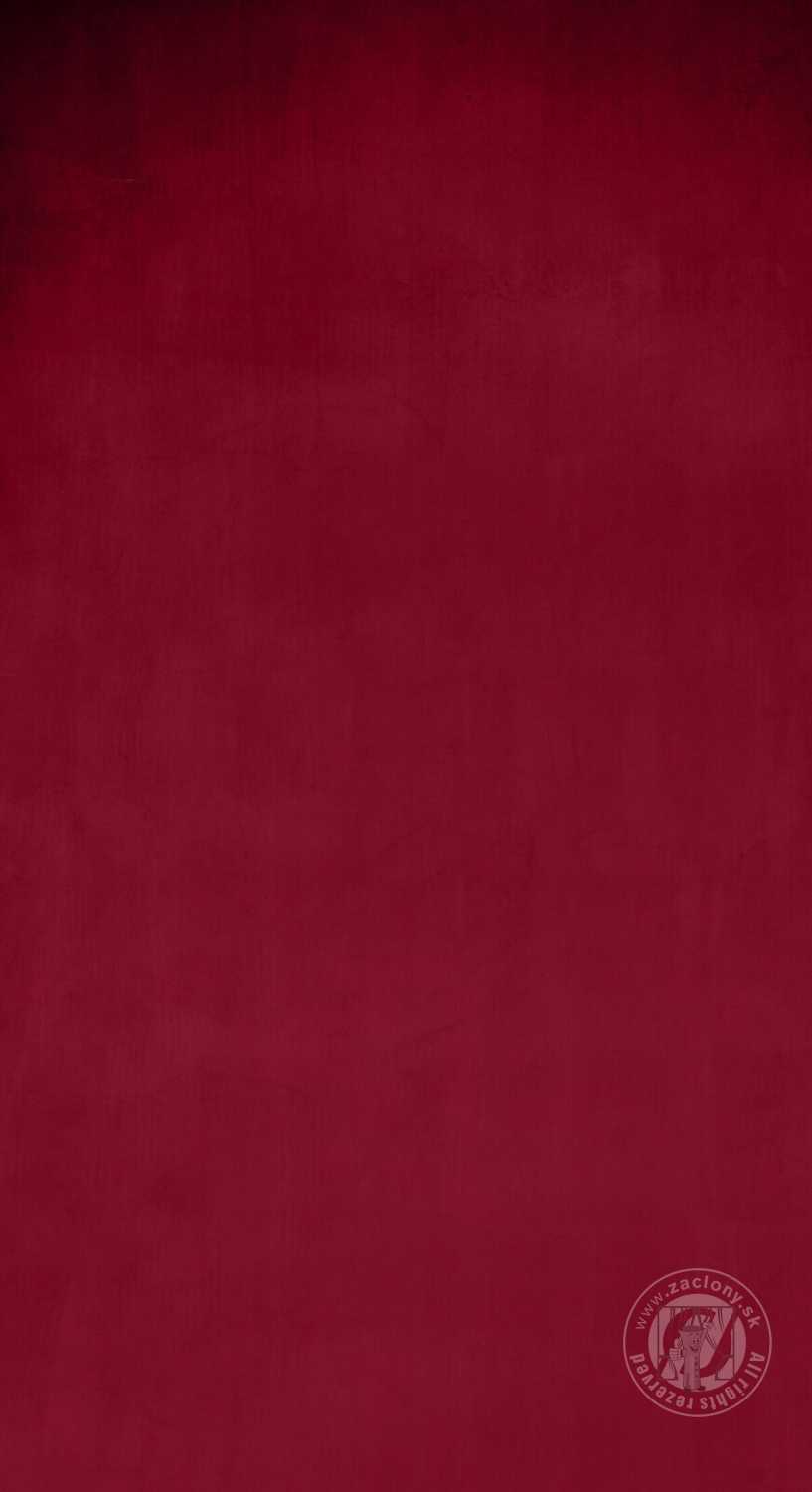 Záves SIBEL bordový, 300cm