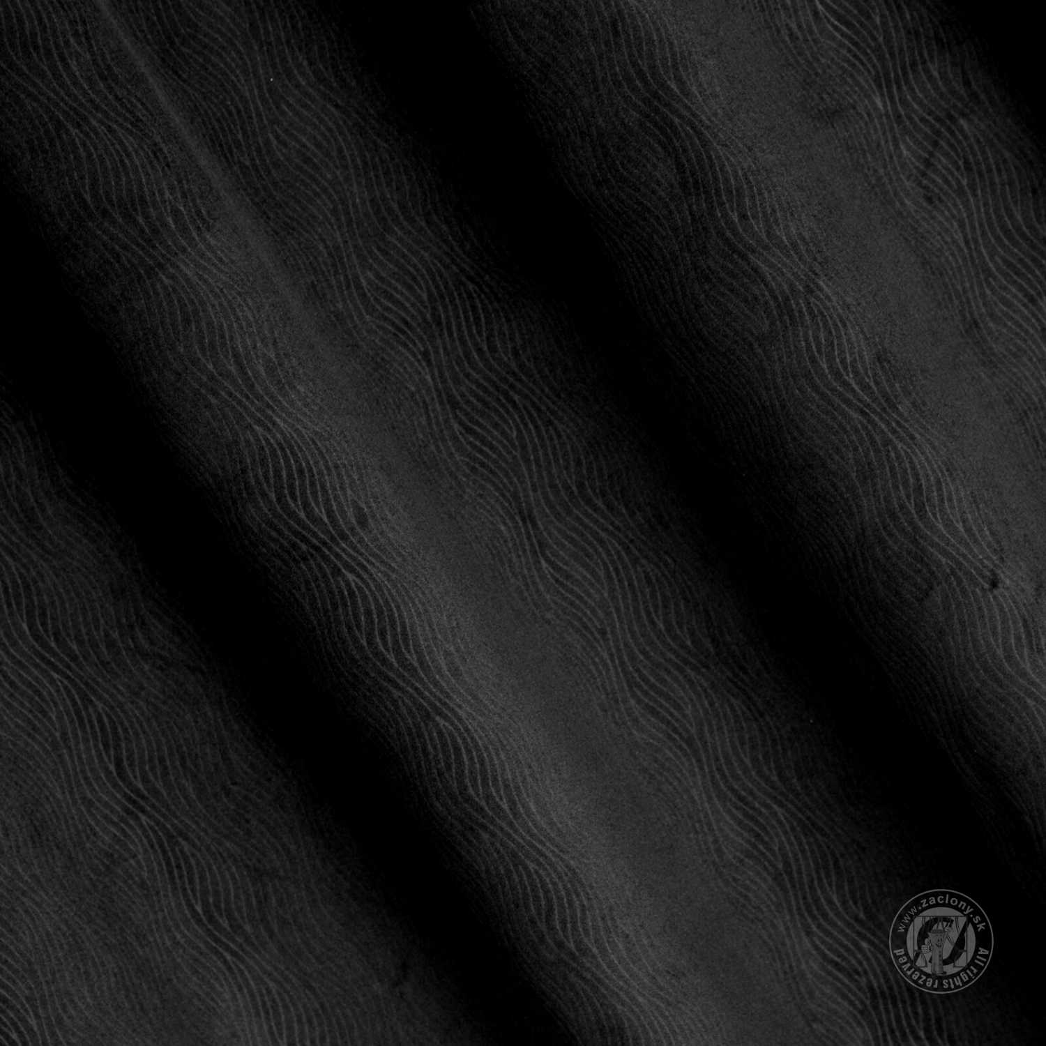 Záves LILI na krúžkoch 140x250cm čierny