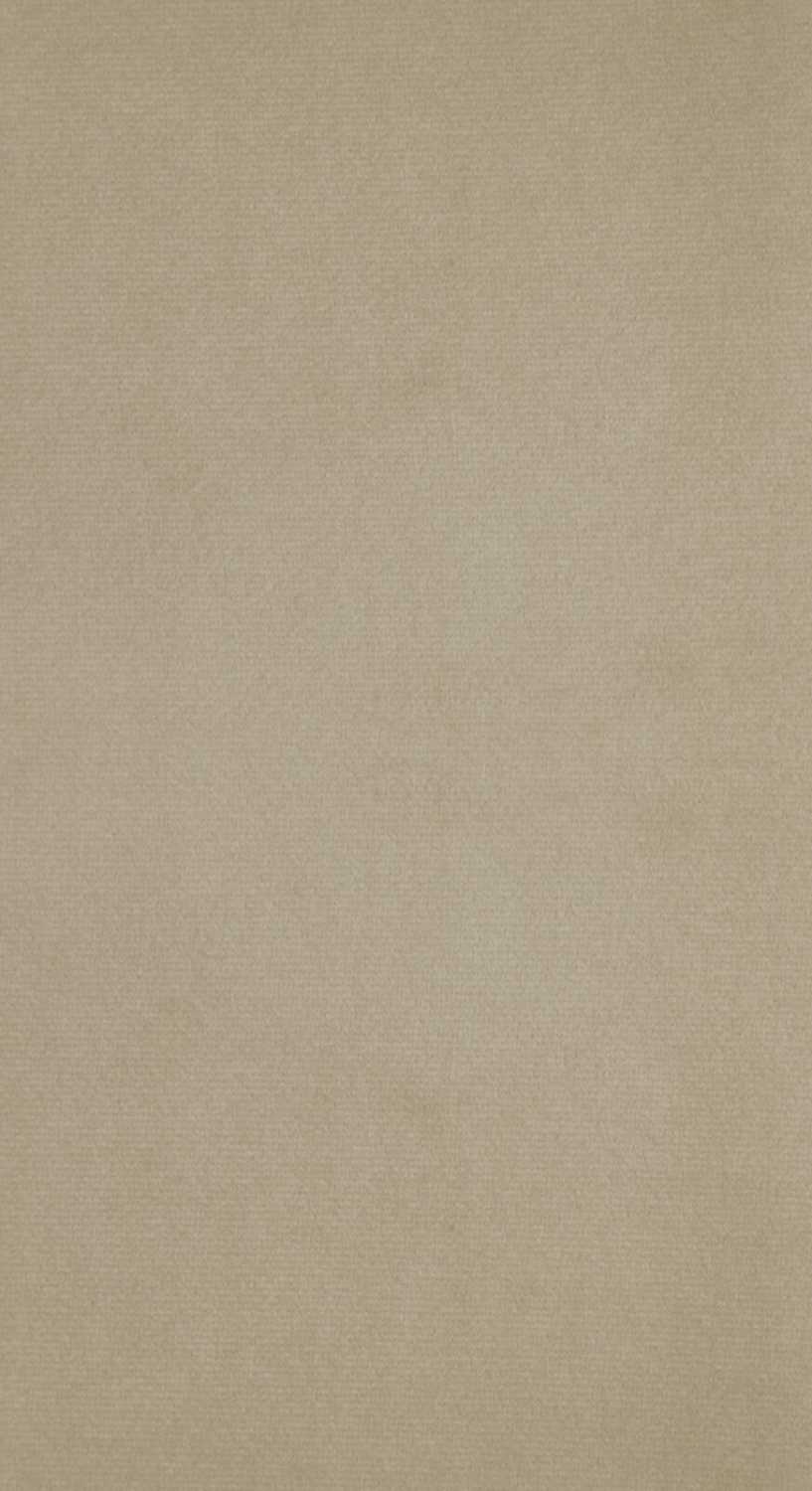 Záves ANTARA na krúžkoch s úchytkou 140x270 cm svetlobéžový