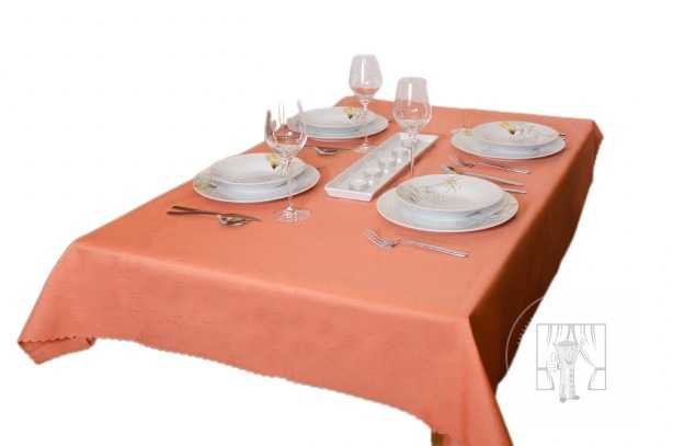 Teflonový obrus vodoodpudivý 150x250 cm lososový