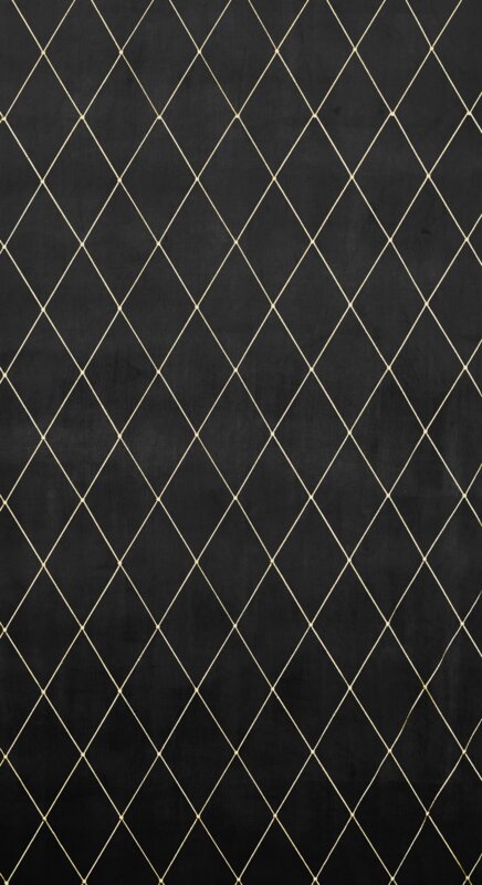 Záves PIERRE CARDIN MARGO na krúžkoch čierny/zlatý 140x250cm 140x250