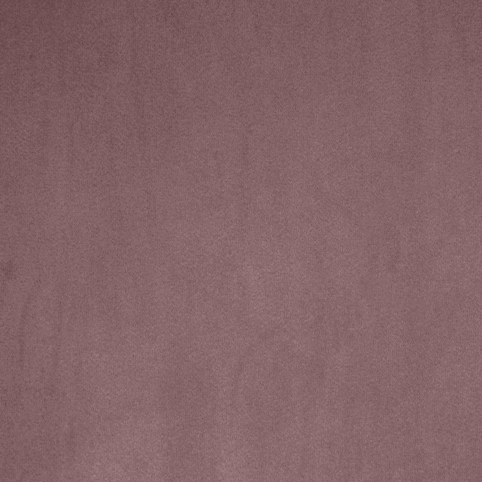 Záves SIBEL púdrový, 300cm 300